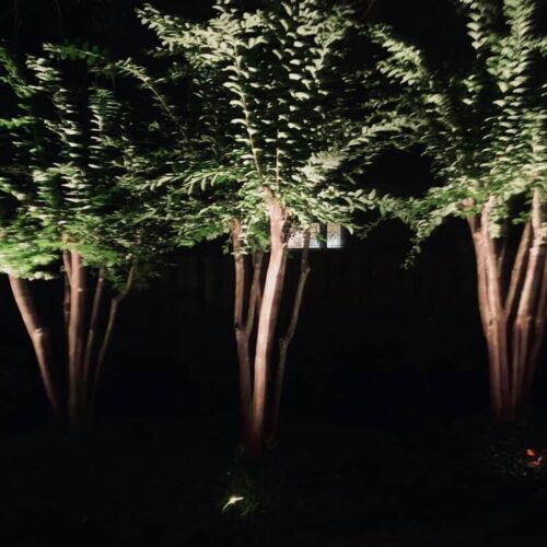 Outdoor Tree Uplighting Electric Concepts Montgomery Al