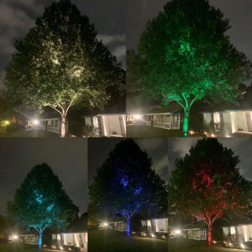 Outdoor Uplighting Design Electrical Concepts Montgomery
